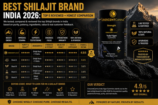 Best Shilajit Brand India 2026