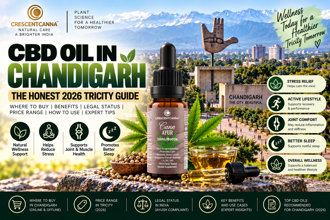 CBD Oil in Chandigarh: The Honest 2026 Tricity Guide