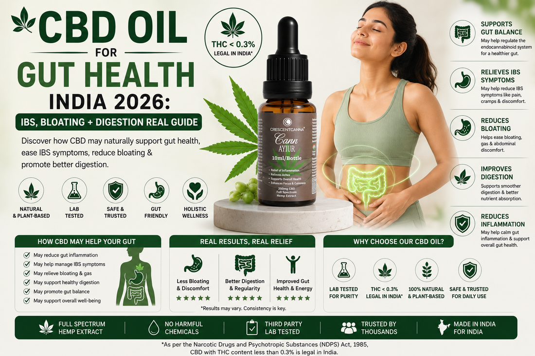 CBD for Gut Health India 2026 : IBS, Bloating + Digestion Real Guide