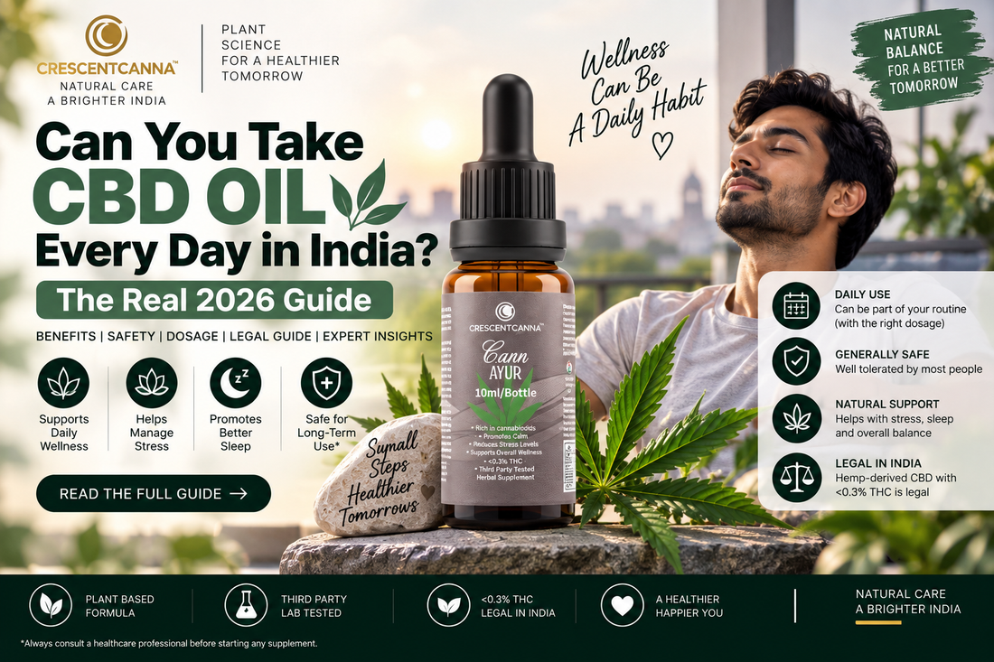 Can You Take CBD Oil Every Day in India The Real 2026 Guide