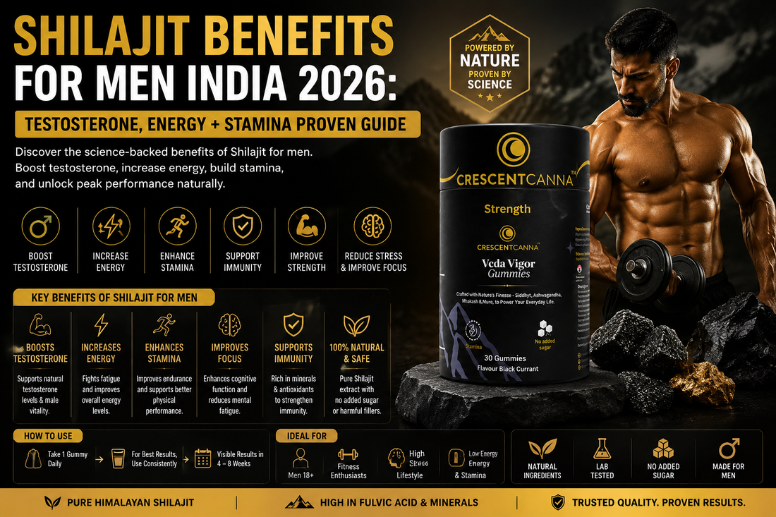 Shilajit Benefits for Men India 2026 Testosterone, Energy + Stamina Proven Guide