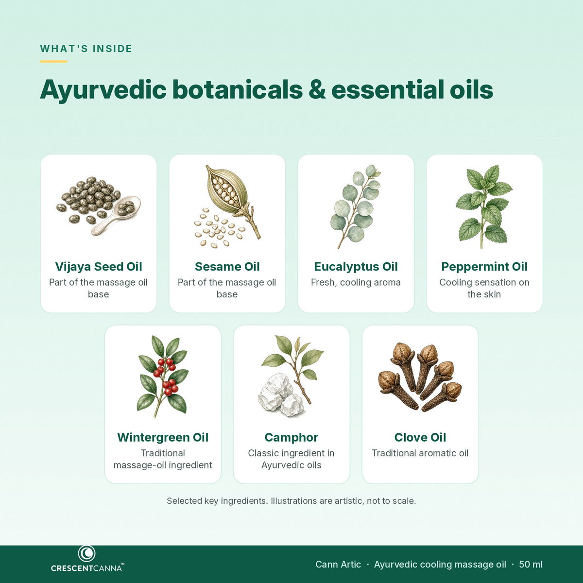 Cann Artic ingredients - Vijaya Seed Oil, Sesame Oil, eucalyptus, peppermint, wintergreen, camphor, clove