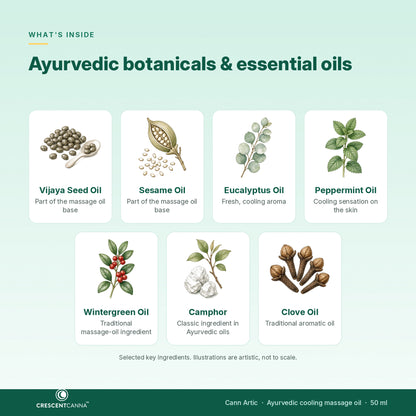 Cann Artic ingredients - Vijaya Seed Oil, Sesame Oil, eucalyptus, peppermint, wintergreen, camphor, clove