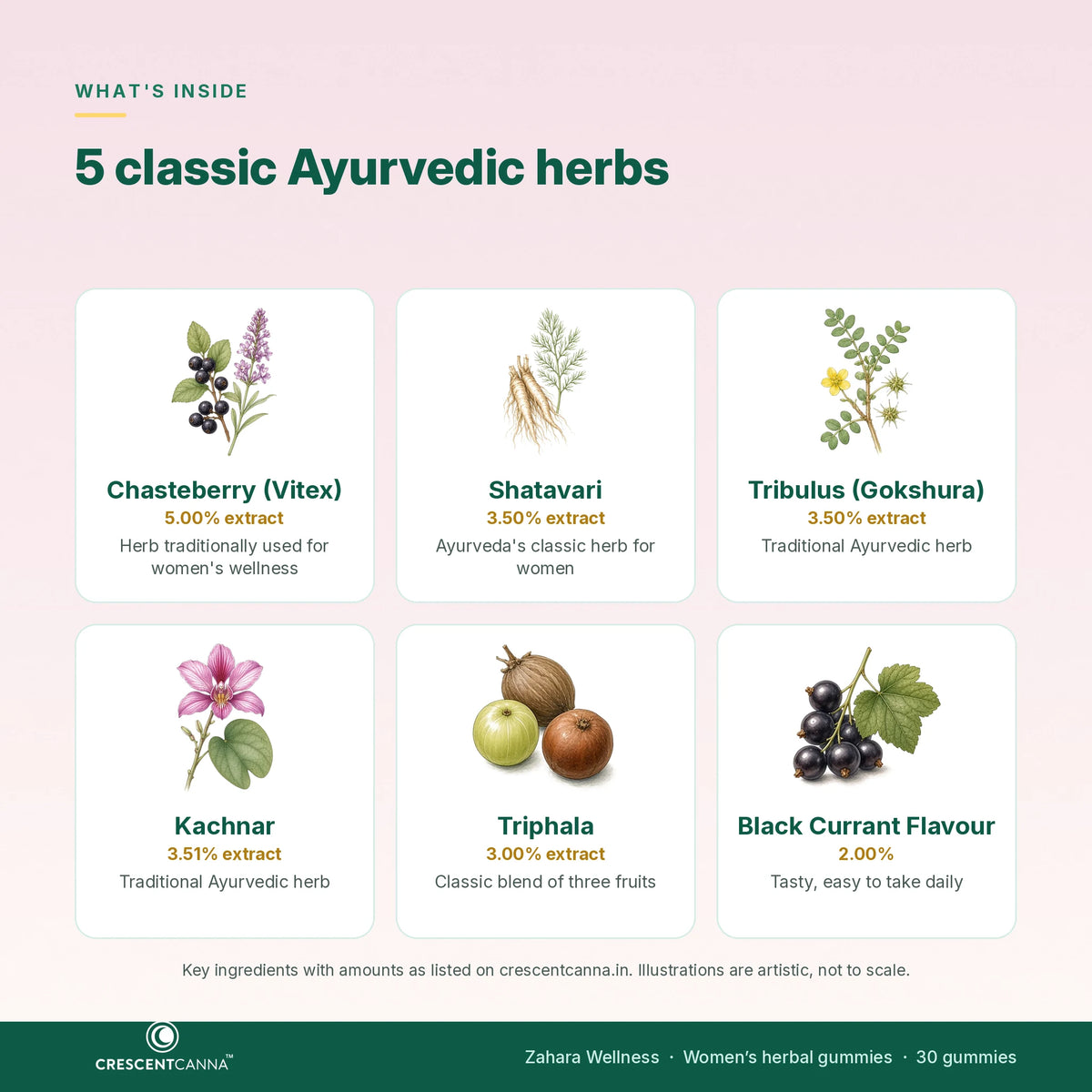 Zahara Wellness ingredients - Chasteberry, Shatavari, Gokshura, Kachnar, Triphala, black currant flavour