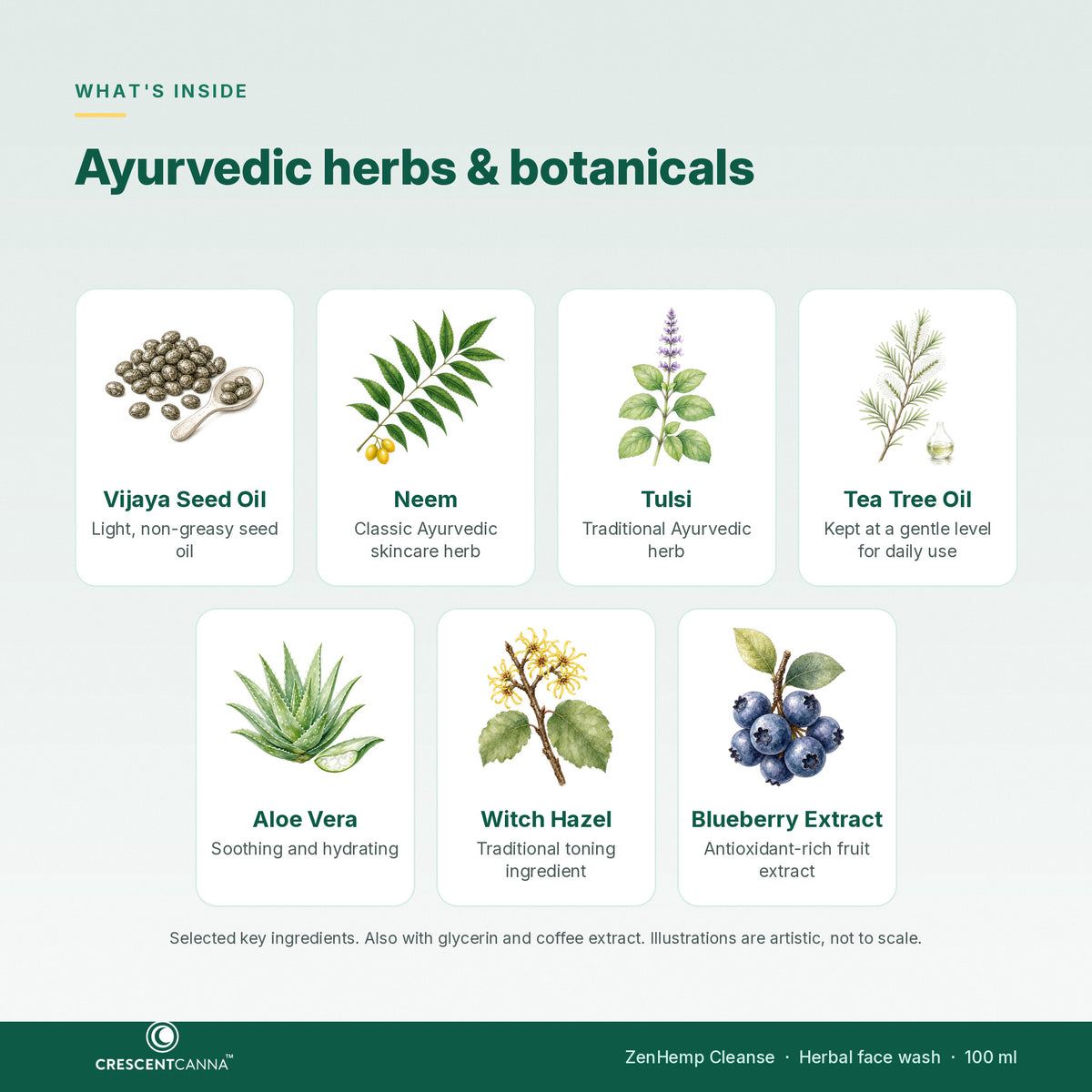 ZenHemp Cleanse ingredients - Vijaya Seed Oil, neem, tulsi, tea tree oil, aloe vera, witch hazel, blueberry extract